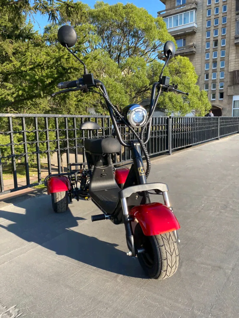 Электроскутер Citycoco TRIKE MINI GT X3 PRO-3