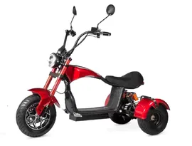 Электроскутер Trike GT X6 трехколесный