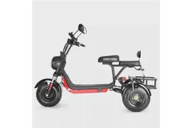 Электротрицикл Citycoco White Siberia TRIKE MINI 178W Черный