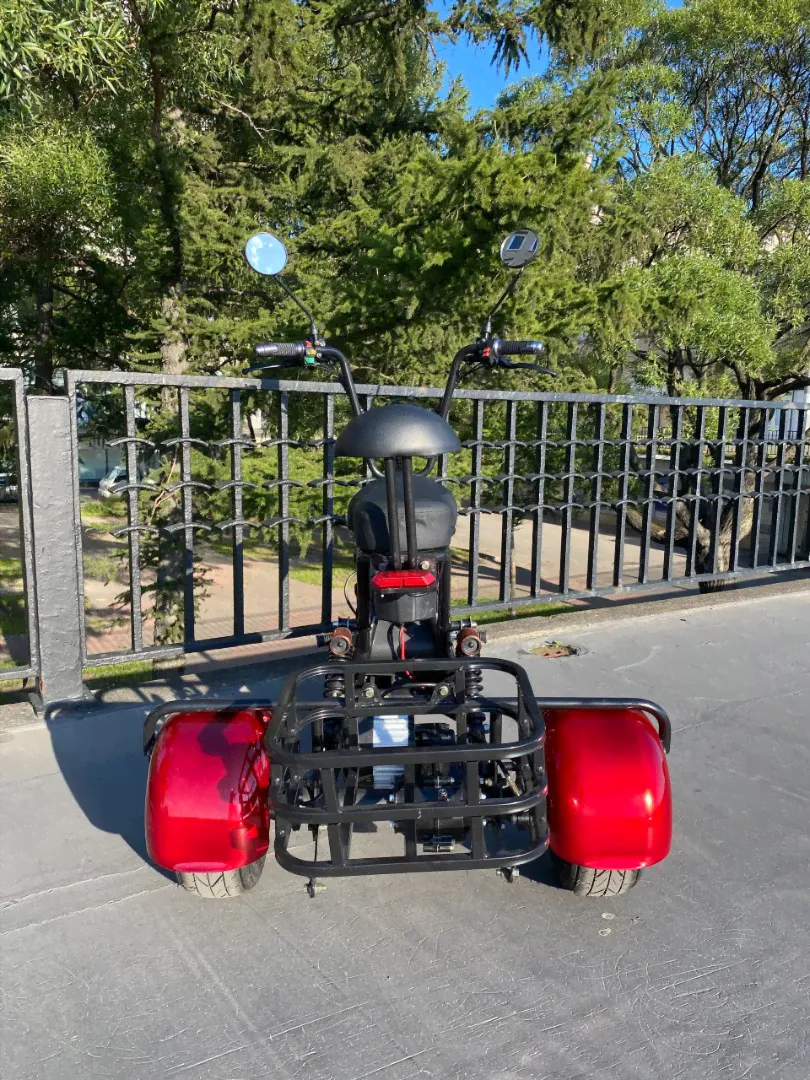 Электроскутер Citycoco TRIKE MINI GT X3 PRO-4
