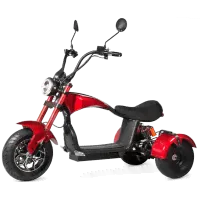 Электроскутер CityCoco TRIKE GT-U1 1000W 48V 13Ah