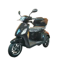 Электрический трехколесный скутер Syccyba Trike A1 1000W 60V 20Ah