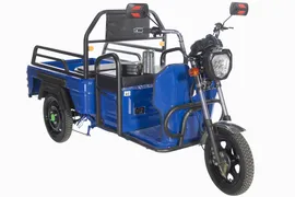 Грузовой электрический трицикл TRIKE CARGO (без АКБ)