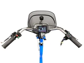 Электровелосипед Трехколесный (Трицикл) Horza Stels Trike 24-1000