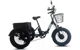 Электротрицикл-фэтбайк Doonkan Panda Trike