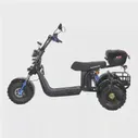 Электроскутер SKYBOARD CITYCOCO TRIKE BR40-3000 PRO FAST OFF-ROAD