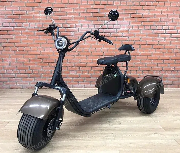 Трехколесный скутер GT Citycoco TRIKE GT-X7 pro