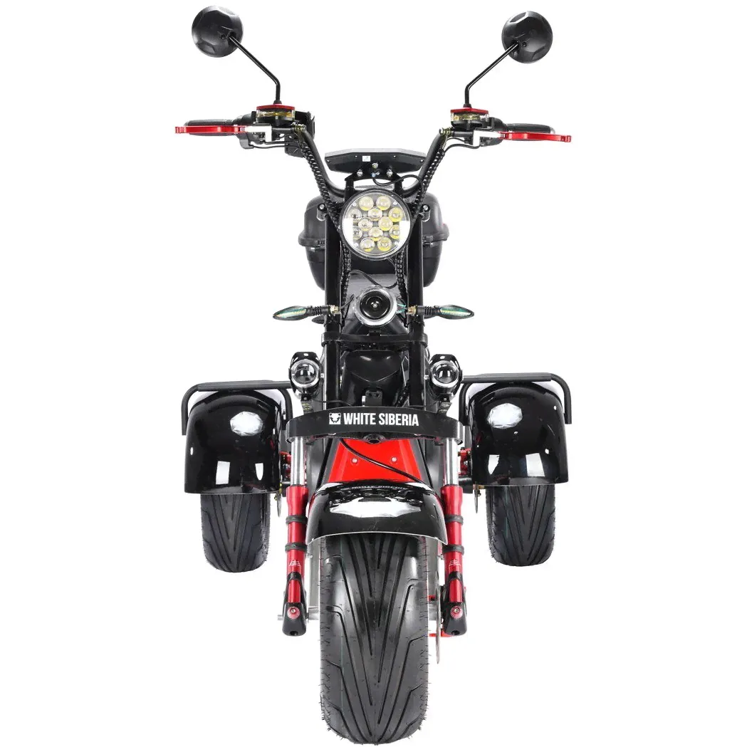 Seev CityCoco WS Pro Trike + 3000W электротранспорт-0