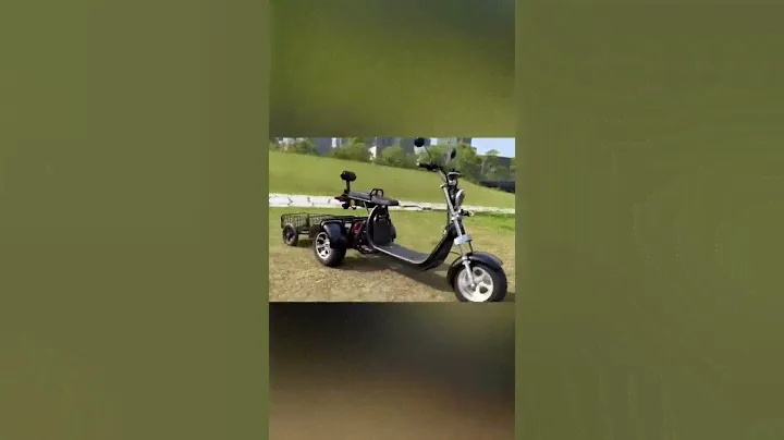 EU warehouse stock 2000W 60V 40AH battery 3 wheel electric citycoco scooter tircycle with trailer