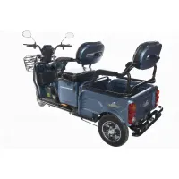 Грузовой электротрицикл Trike Transformer-3