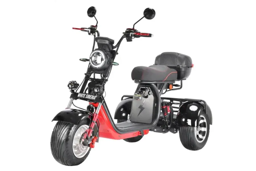 Электроскутер Citycoco WS-PRO Trike Plus 3000W Черный-0