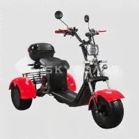 Электроскутер SKYBOARD TRIKE BR40-3000 PRO FAST