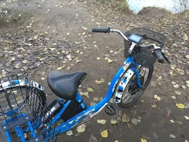 Электровелосипед трехколесный Horza Stels Trike 24-T2 350W 36V/15Ah 15 Ач