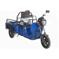 Грузовой электротрицикл Trike Cargo