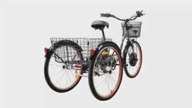 Электровелосипед трехколесный Horza Stels Trike 26-1000