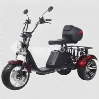 Электроскутер трицикл SKYBOARD TRIKE BR80 с независимой подвеской