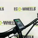 Трицикл Minako Trike Fat 24