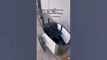 Nihola Family Trike︱Dutch Cargo Bike