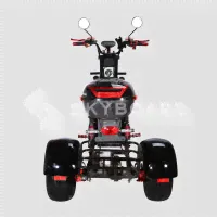Электроскутер CityCoco SkyBoard Trike BR40-3000 PRO