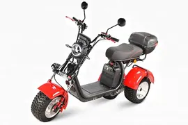 Электроскутер Citycoco White Siberia PRO Trike IKRA 5000W