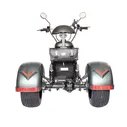 Электроскутер SKYBOARD TRIKE CHOPPER-2000