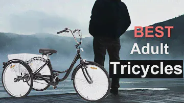 Top 5 Best Adult Tricycles in 2024 | Best Three Wheel Bikes