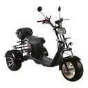 Skyboard trike BR60-3000 (Marusay)