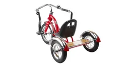 Детский трехколесный велосипед Schwinn Roadster Trike (2019)