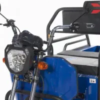 Грузовой электротрицикл Trike Cargo