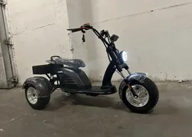 Трехколесный скутер GT Citycoco TRIKE GT-M6 Pro