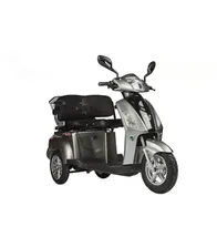 Электроскутер TRIKE NEW Gray