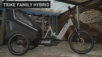 CUBE Trike Family Hybrid - CUBE Bikes Official