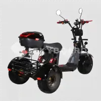 Электроскутер CityCoco SkyBoard Trike BR40-3000 PRO