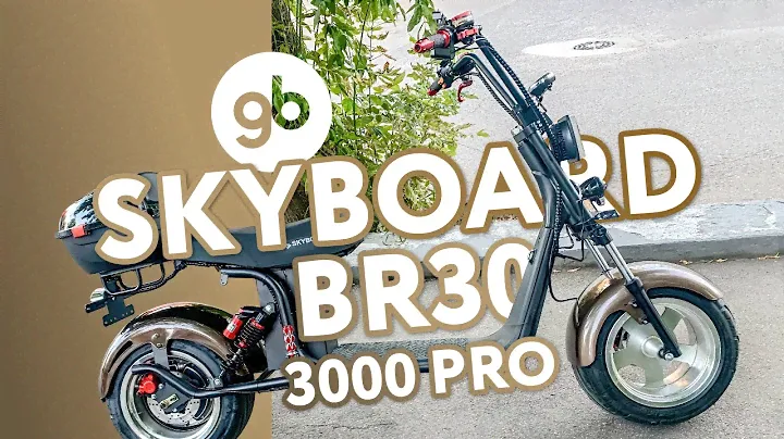 CITYCOCO SKYBOARD BR30-3000 PRO - 3-я ревизия данного скутера Сити Коко от производителя SkyBoard.