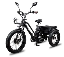 Трехколесный электровелосипед Minako Trike