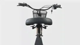 Электровелосипед трехколесный Horza Stels Trike 26-1000