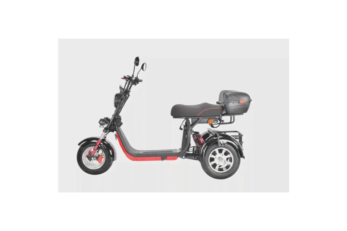 Электротрицикл Citycoco White Siberia PRO Trike 3000W Черный-1