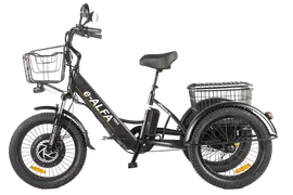 GREEN CITY e-ALFA TRIKE