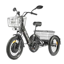 Трицикл GREEN CITY e-ALFA Trike