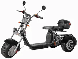 Трехколесный электроскутер Citycoco Trike GT X11 Pro