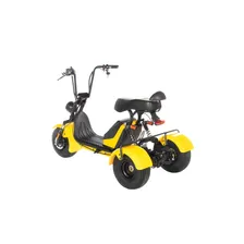 CityCoCo Trike X4 PRO