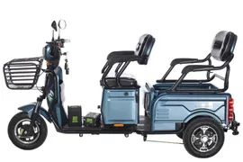 Электрический трицикл TRIKE TRANSFORMER (без АКБ)