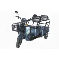 Грузовой электротрицикл Trike Transformer-2