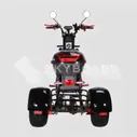 Электроскутер CityCoco SkyBoard Trike BR40-3000 PRO