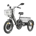 Трицикл GREEN CITY e-ALFA Trike