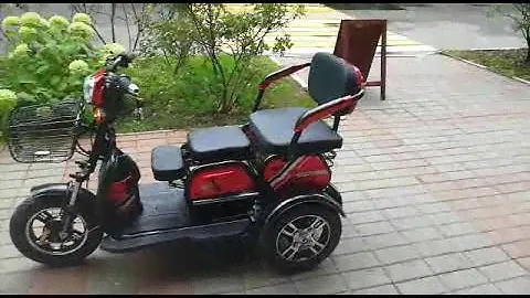 Электро трицикл трансформер2+1 600W48V20AH-электро