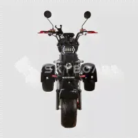 Электроскутер CityCoco SkyBoard Trike BR60-3000 PRO FAST