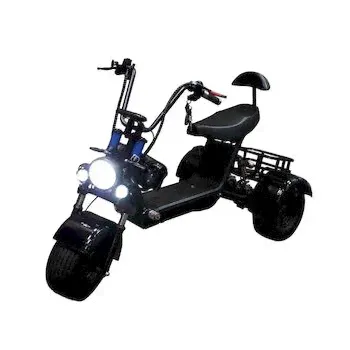GT ЭлектроскутерCityCoco GT-X5 mini/Трехколесный CityCoco TRIKE GT-X5 mini, черный-0