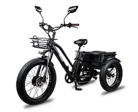 Электровелосипед трицикл Minako Trike Черный