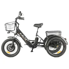 Трицикл GREEN CITY e-ALFA Trike